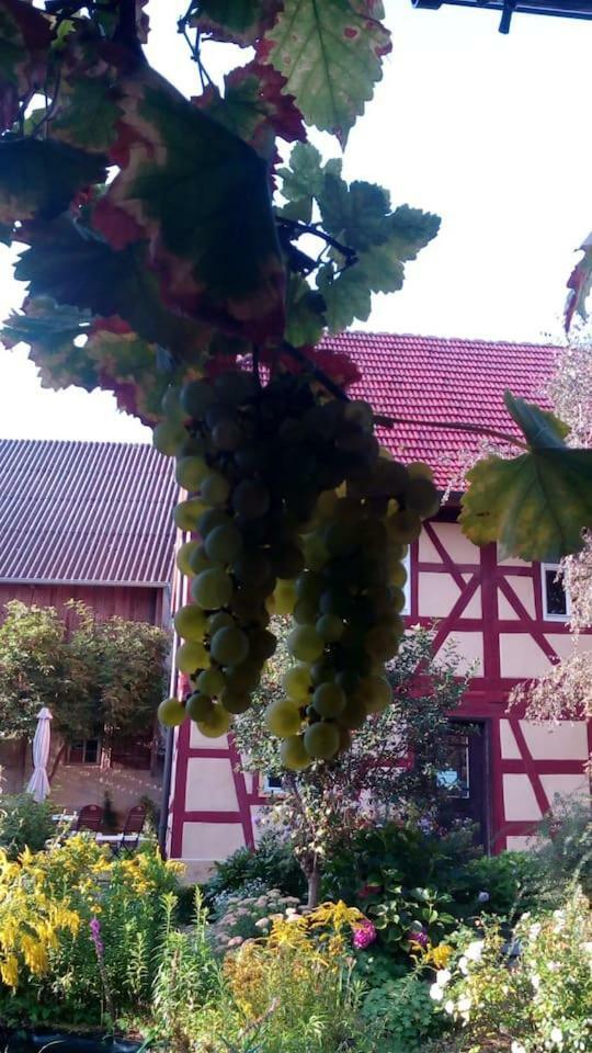 Haselbachstrasse 6 Apartment Ebensfeld Екстериор снимка